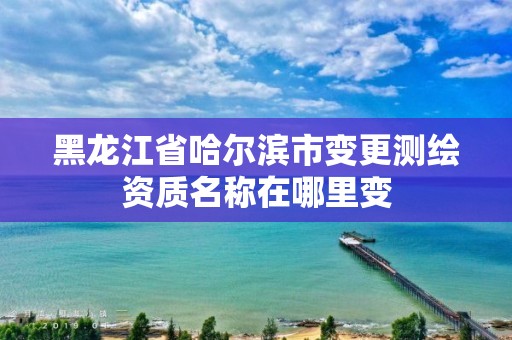 黑龍江省哈爾濱市變更測繪資質名稱在哪里變