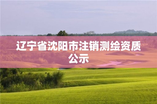 遼寧省沈陽市注銷測繪資質公示