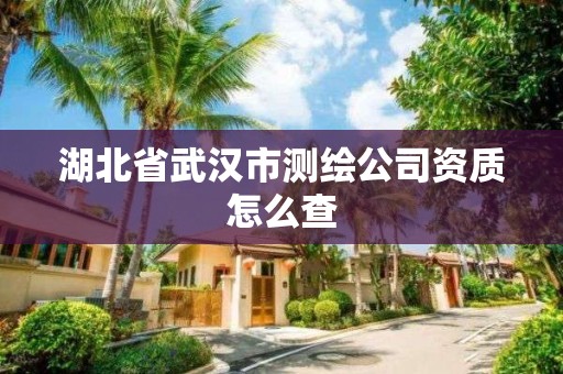 湖北省武漢市測繪公司資質(zhì)怎么查