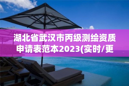 湖北省武漢市丙級測繪資質申請表范本2023(實時/更新中)