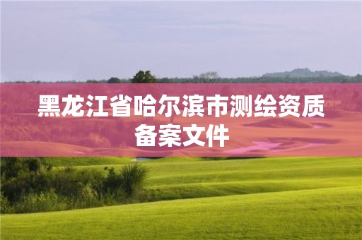 黑龍江省哈爾濱市測(cè)繪資質(zhì)備案文件