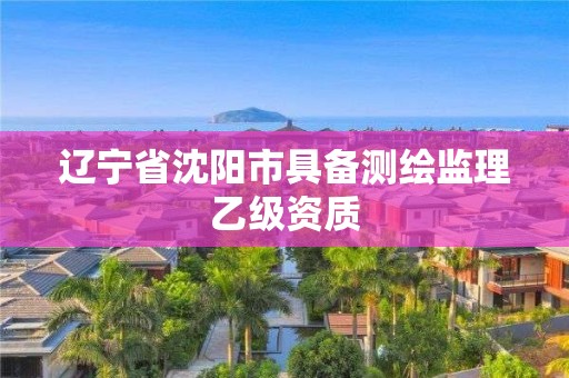 遼寧省沈陽市具備測繪監理乙級資質