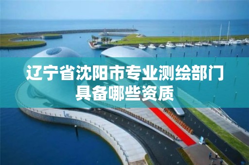 遼寧省沈陽市專業測繪部門具備哪些資質