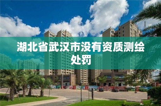 湖北省武漢市沒有資質測繪處罰