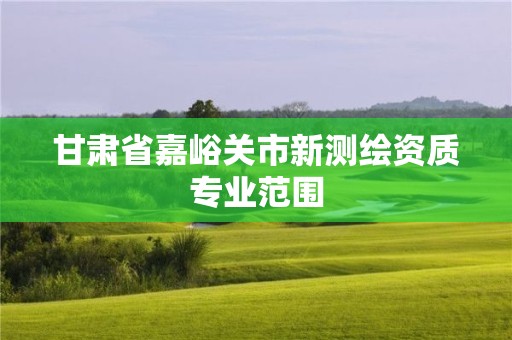 甘肅省嘉峪關市新測繪資質專業范圍