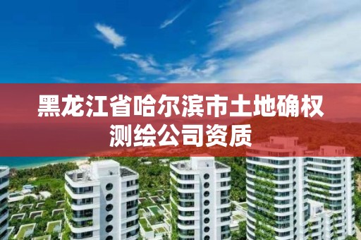 黑龍江省哈爾濱市土地確權測繪公司資質