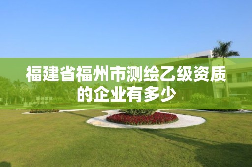 福建省福州市測繪乙級資質(zhì)的企業(yè)有多少