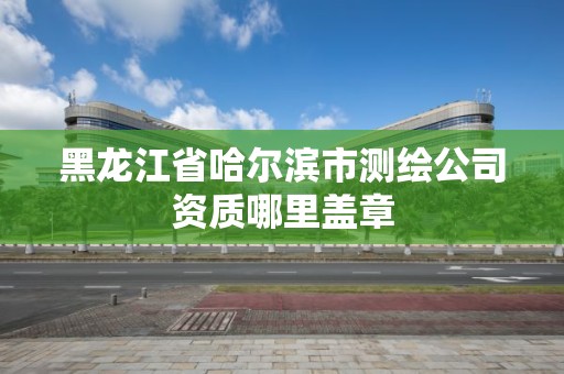 黑龍江省哈爾濱市測繪公司資質哪里蓋章