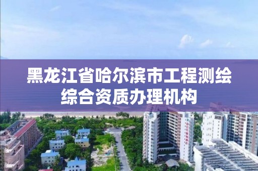 黑龍江省哈爾濱市工程測繪綜合資質(zhì)辦理機構(gòu)