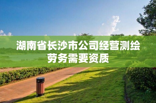 湖南省長沙市公司經(jīng)營測繪勞務(wù)需要資質(zhì)