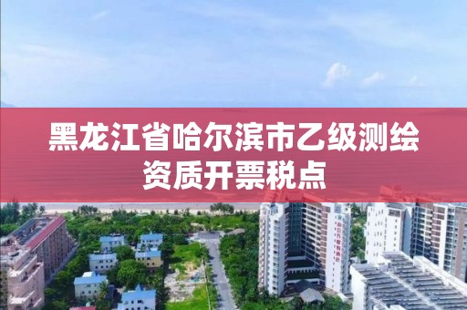 黑龍江省哈爾濱市乙級測繪資質開票稅點