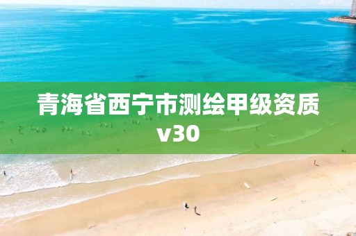 青海省西寧市測(cè)繪甲級(jí)資質(zhì)v30