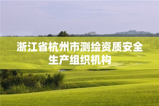 浙江省杭州市測(cè)繪資質(zhì)安全生產(chǎn)組織機(jī)構(gòu)