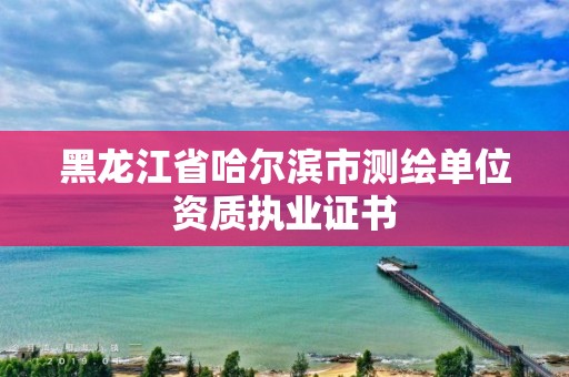 黑龍江省哈爾濱市測繪單位資質執(zhí)業(yè)證書