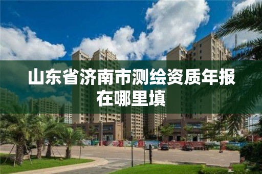 山東省濟南市測繪資質年報在哪里填