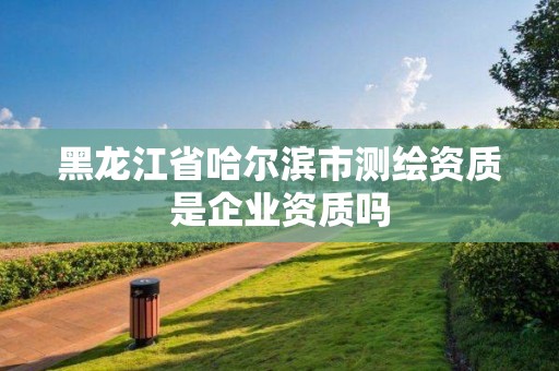 黑龍江省哈爾濱市測繪資質是企業資質嗎