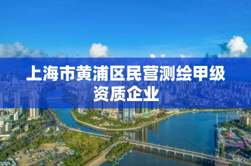 上海市黃浦區民營測繪甲級資質企業