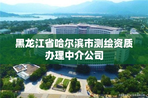 黑龍江省哈爾濱市測繪資質辦理中介公司