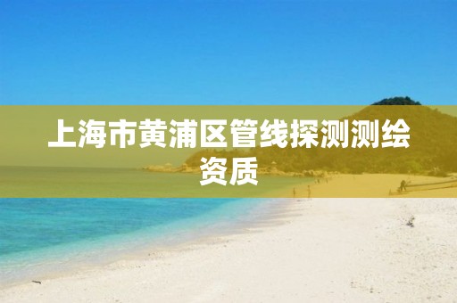 上海市黃浦區(qū)管線探測(cè)測(cè)繪資質(zhì)