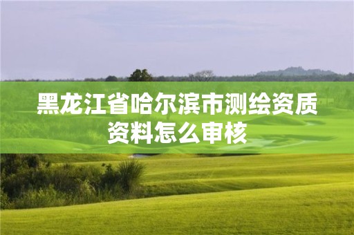 黑龍江省哈爾濱市測繪資質(zhì)資料怎么審核