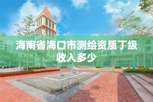 海南省海口市測繪資質丁級收入多少