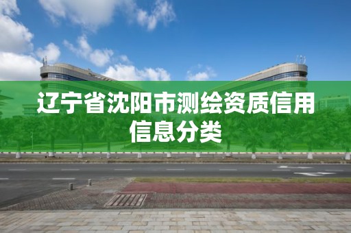 遼寧省沈陽市測繪資質信用信息分類