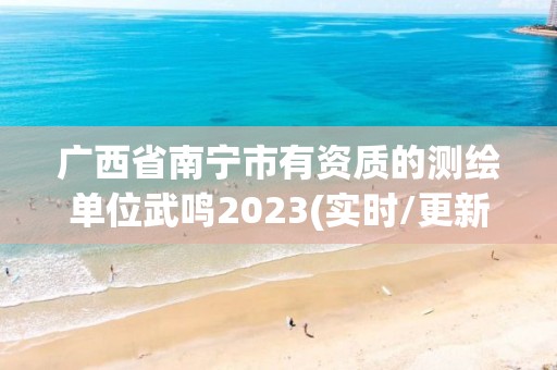 廣西省南寧市有資質的測繪單位武鳴2023(實時/更新中)