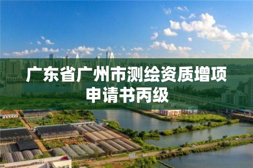 廣東省廣州市測繪資質增項申請書丙級