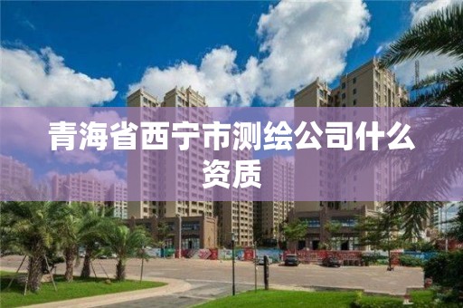 青海省西寧市測繪公司什么資質