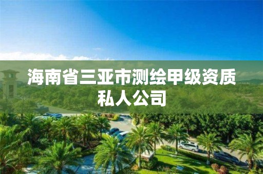 海南省三亞市測繪甲級資質私人公司