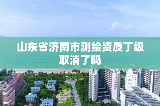 山東省濟南市測繪資質丁級取消了嗎