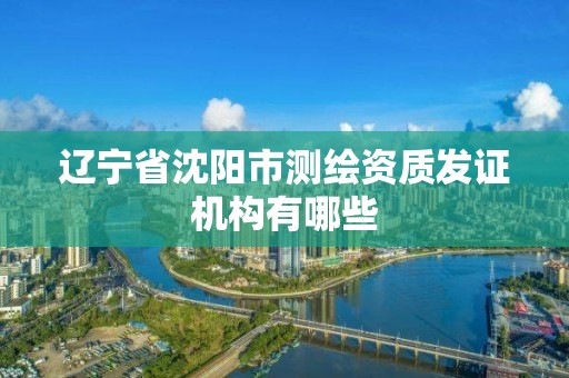 遼寧省沈陽市測繪資質發證機構有哪些