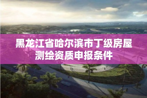 黑龍江省哈爾濱市丁級房屋測繪資質(zhì)申報條件