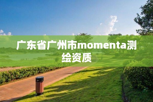 廣東省廣州市momenta測繪資質