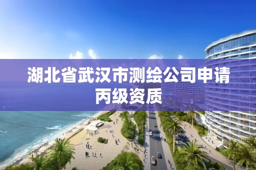 湖北省武漢市測繪公司申請丙級資質