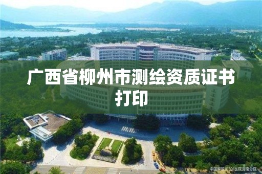 廣西省柳州市測繪資質證書打印