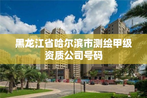 黑龍江省哈爾濱市測繪甲級資質公司號碼