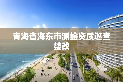 青海省海東市測(cè)繪資質(zhì)巡查整改