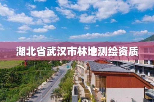 湖北省武漢市林地測繪資質