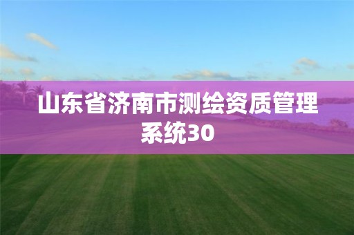 山東省濟南市測繪資質管理系統30