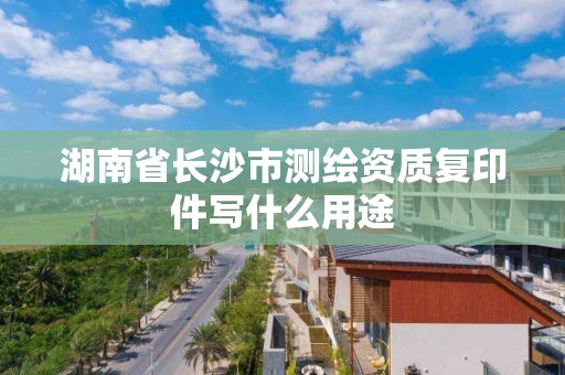 湖南省長沙市測繪資質復印件寫什么用途