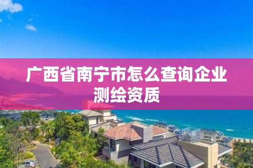 廣西省南寧市怎么查詢企業測繪資質