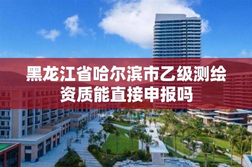 黑龍江省哈爾濱市乙級測繪資質(zhì)能直接申報嗎