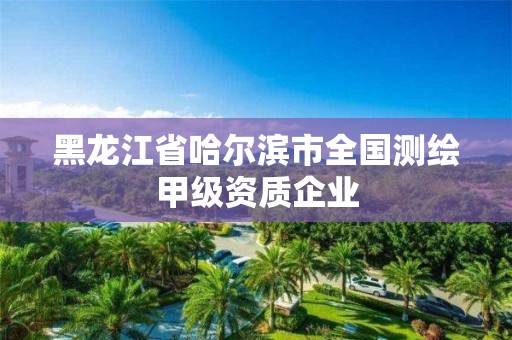 黑龍江省哈爾濱市全國測繪甲級資質企業