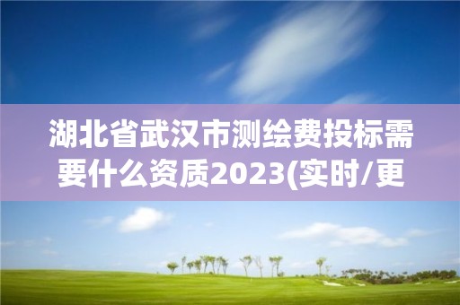 湖北省武漢市測繪費投標需要什么資質2023(實時/更新中)