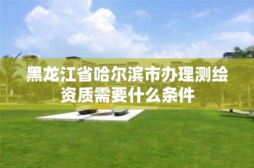 黑龍江省哈爾濱市辦理測繪資質需要什么條件