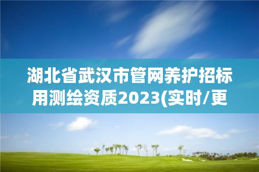 湖北省武漢市管網(wǎng)養(yǎng)護(hù)招標(biāo)用測(cè)繪資質(zhì)2023(實(shí)時(shí)/更新中)