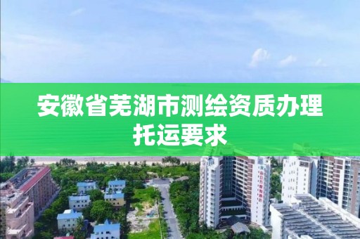 安徽省蕪湖市測繪資質辦理托運要求