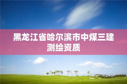 黑龍江省哈爾濱市中煤三建測繪資質