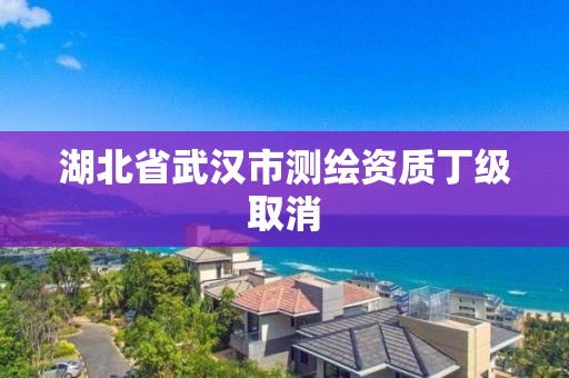 湖北省武漢市測繪資質丁級取消